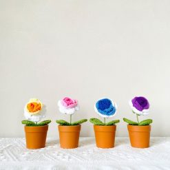 Bó Hoa Hồng Len Trong Chậu Nhựa